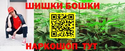 спиды Новозыбков