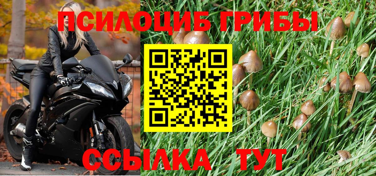 Фурманов  Галлюциногенные грибы Cubensis  сколько стоит  Вход с VPN 